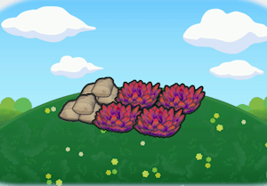 Trainingsplatz im Gras