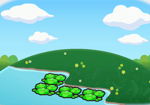 Wasserlinsen auf Wasser