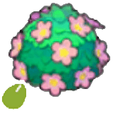 Samen der niedlichen Hecke