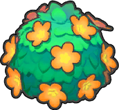 Niedlichbusch (Orange)
