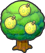 Wilbirbaum