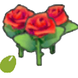 Samen schöner Blumen