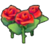 Prachtblumen