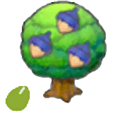 Maronsamen