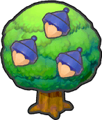 Maronbaum