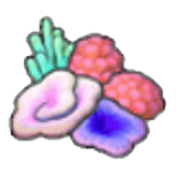 colorfulcorals