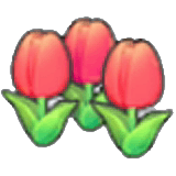 Niedlichblumen