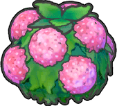 Üppigbusch (Rosa)