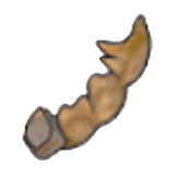 Tyrannenfossil (Schwanz)