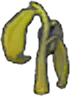 Vertrocknete Bohnenpflanze