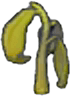 Vertrocknete Kartoffelpflanze