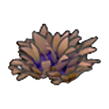 Vertrocknetes grünes Grasbüschel