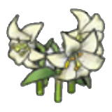 Eleganzblumen