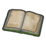 Verlottertes Buch