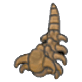 Kopfstoßfossil (Schwanz)