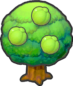 Prunusbaum