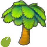 Palmensamen