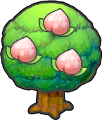 Pirsifbaum