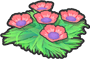 Seeblumen (Rot)