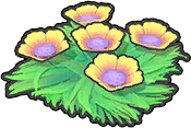 Seeblumen (Gelb)