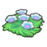 Seeblumen