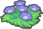 Seeblumensamen (Lila)