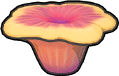 Kleine Koralle (Rot)