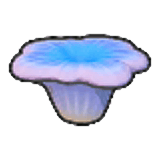 smallcoral