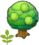 Junger Prunusbaum
