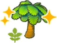 Junge Palme (Gedüngt)
