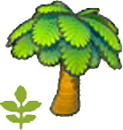 Junge Palme