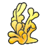 tallcoral