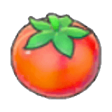Tomate