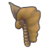 Tundra-Fossil (Kopf)