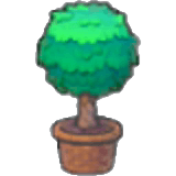 Verdrehte Topfpflanze