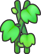 Ranke
