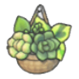Wandpflanzenkorb