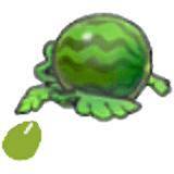 Melonensamen