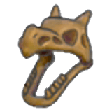 Flügelfossil (Kopf)