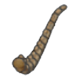 Flügelfossil (Schwanz)