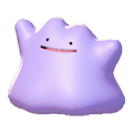 Ditto