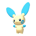 Minun