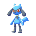 Riolu